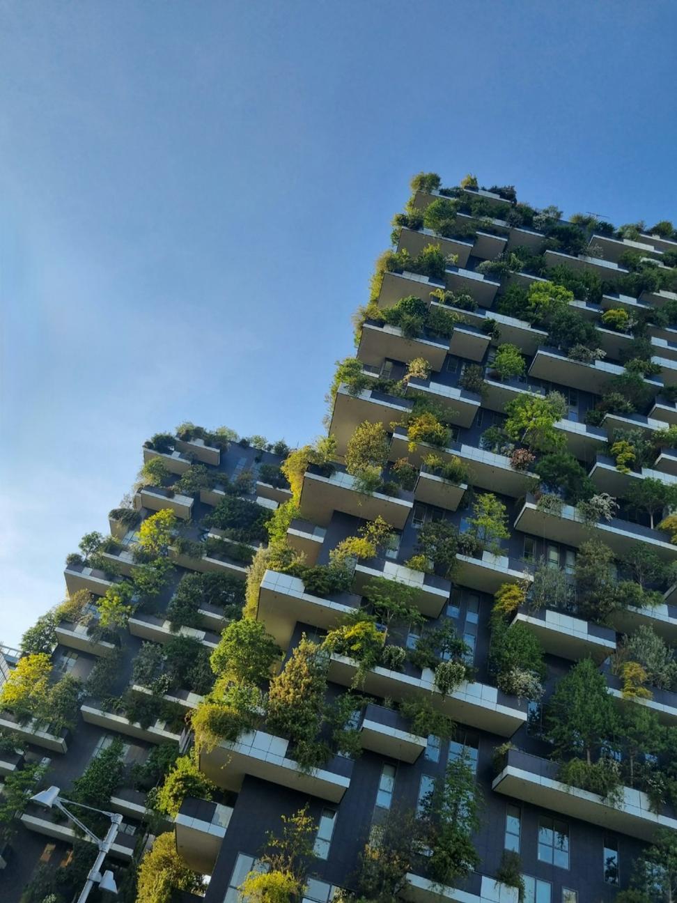Sustainability Consulting